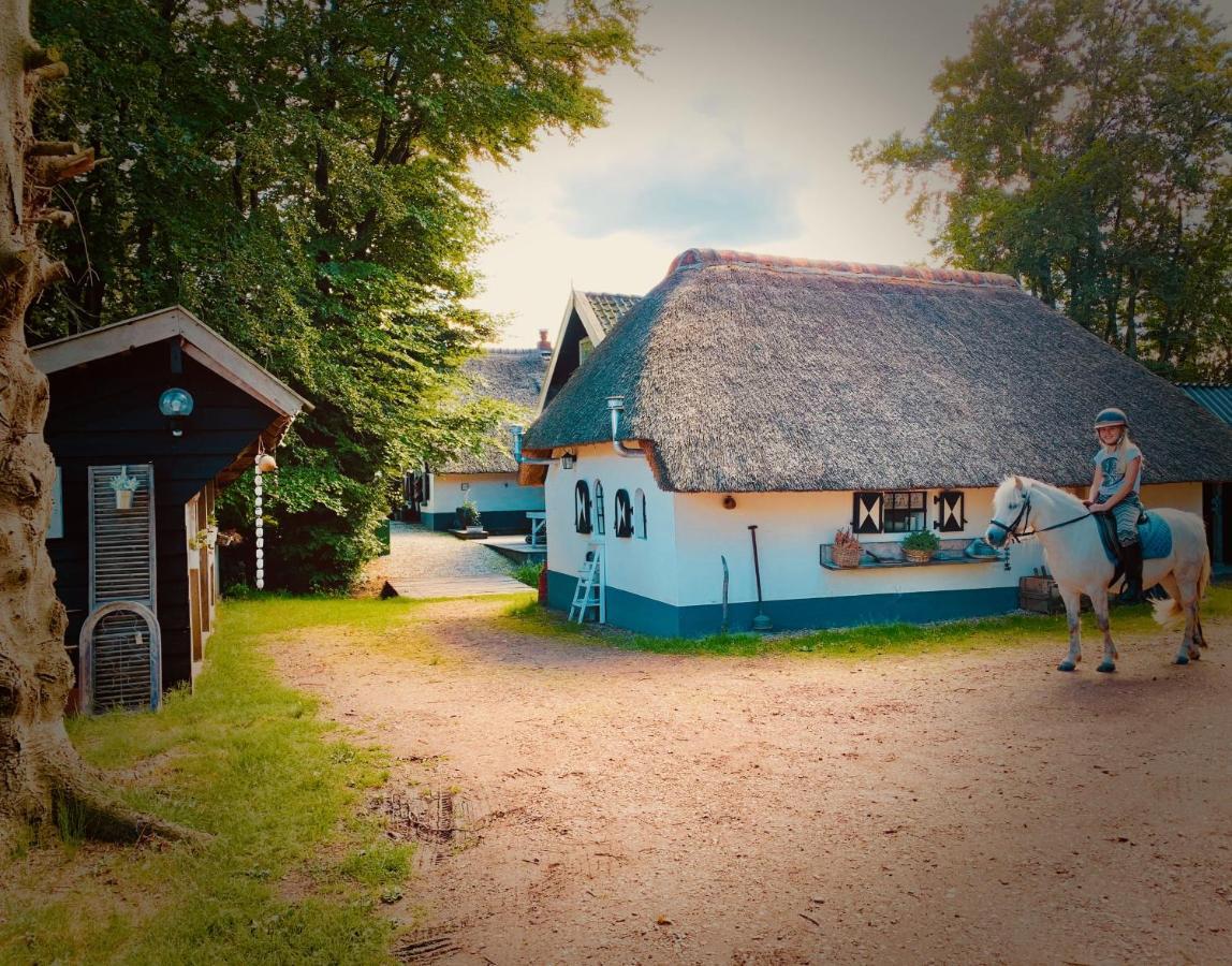 Bakhuisje Op De Veluwe Heerde Eksteriør billede