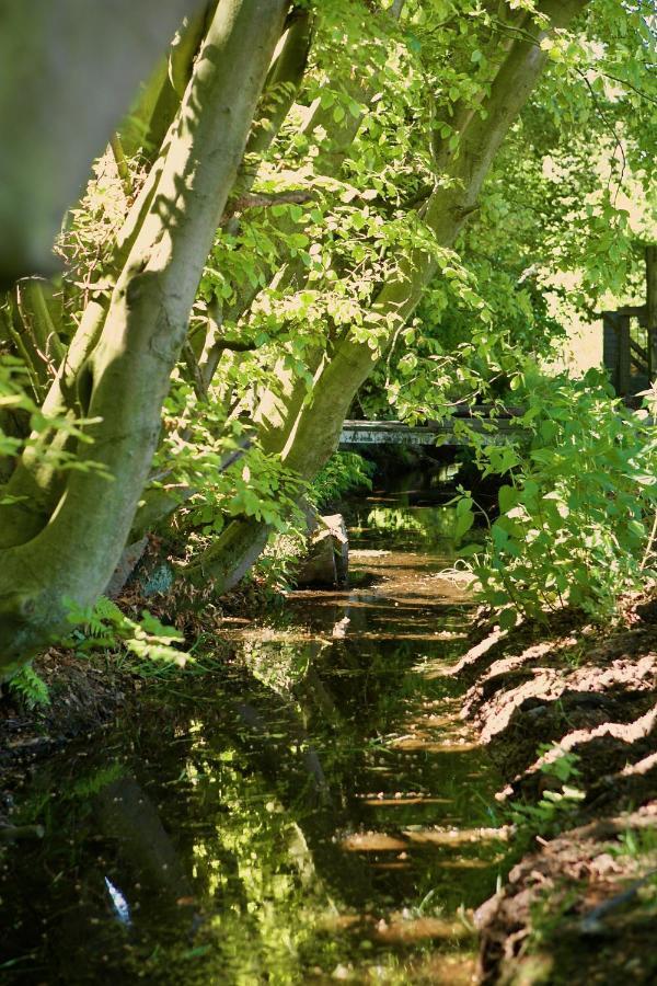 Bakhuisje Op De Veluwe Heerde Eksteriør billede